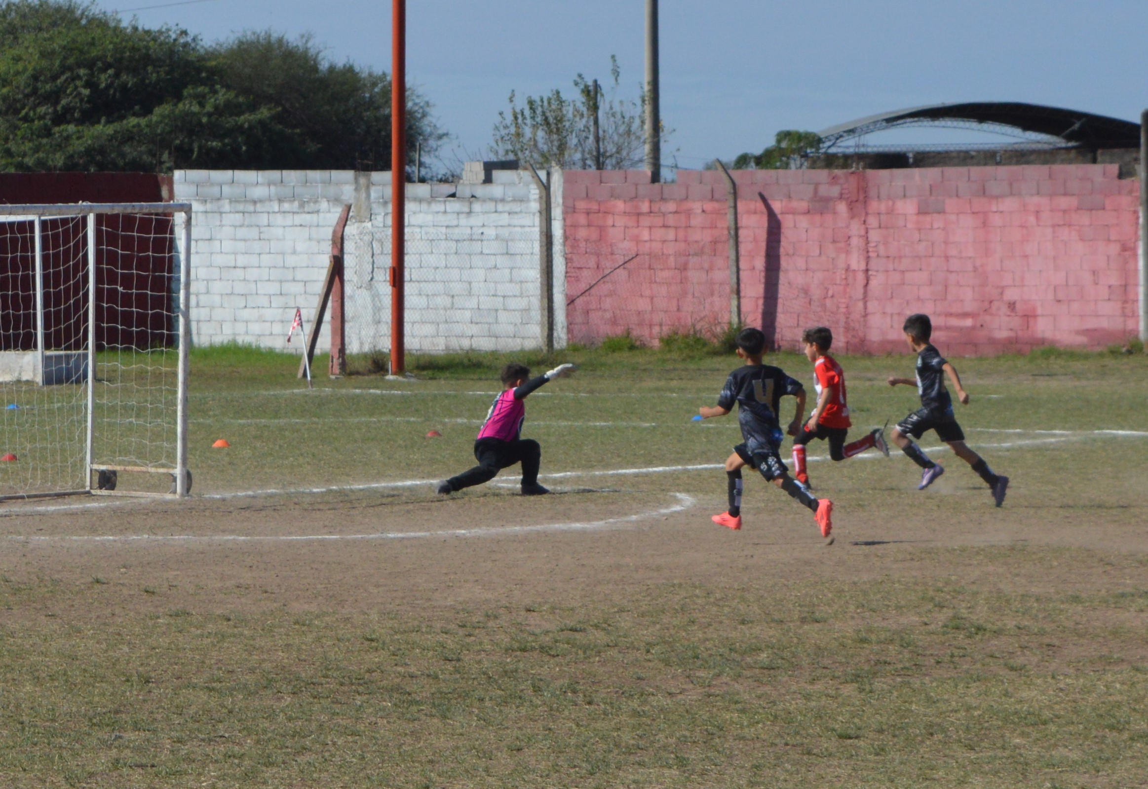 Imagen 3
